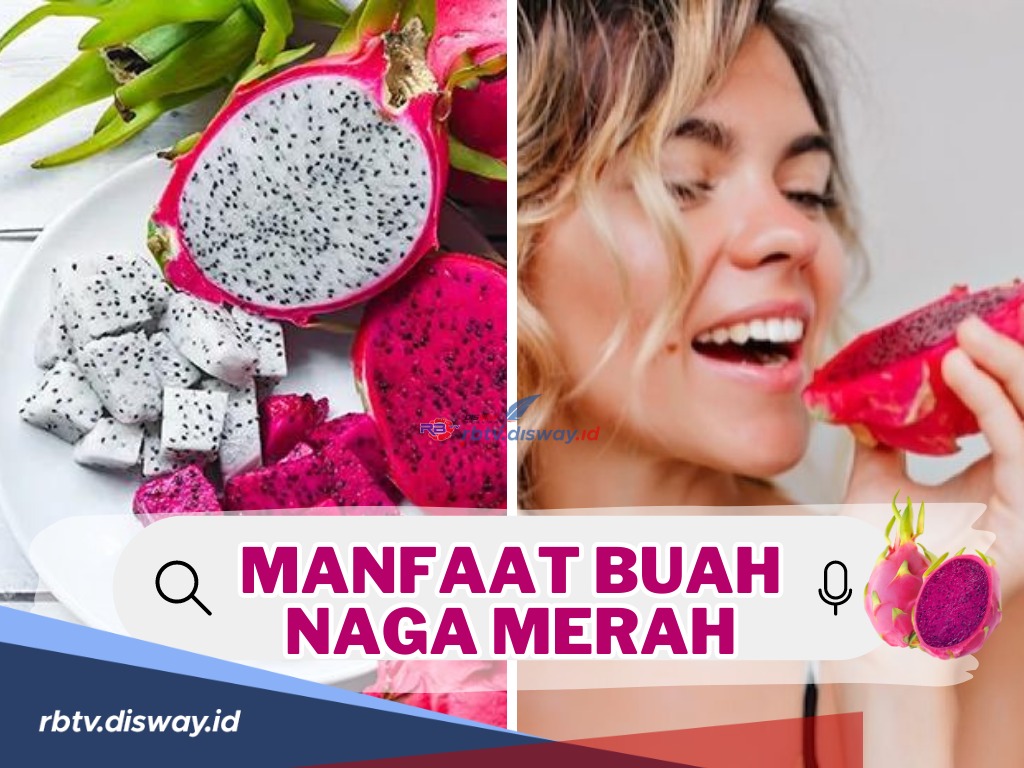 Sudah Tau Belum 9 Manfaat Buah Naga Merah? Yuk, Simak Disini dan Apa Perbedaanya dengan Buah Naga Putih