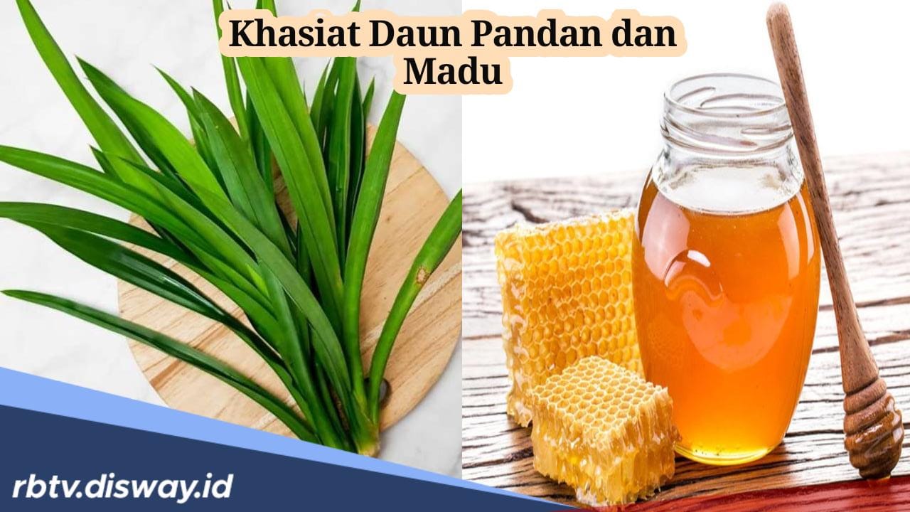 Khasiat Daun Pandan dan Madu, Ternyata Ampuh Atasi 7 Penyakit Ini