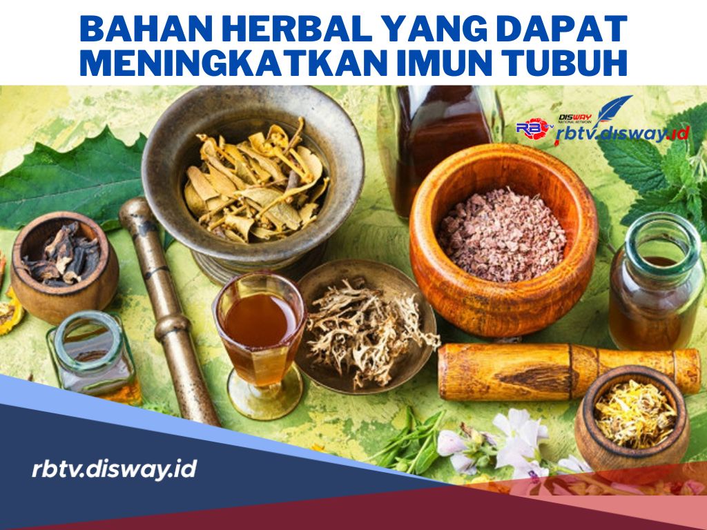 Ngga Perlu Obat! Ini 5 Bahan Herbal yang Dapat Meningkatkan Imun Tubuh