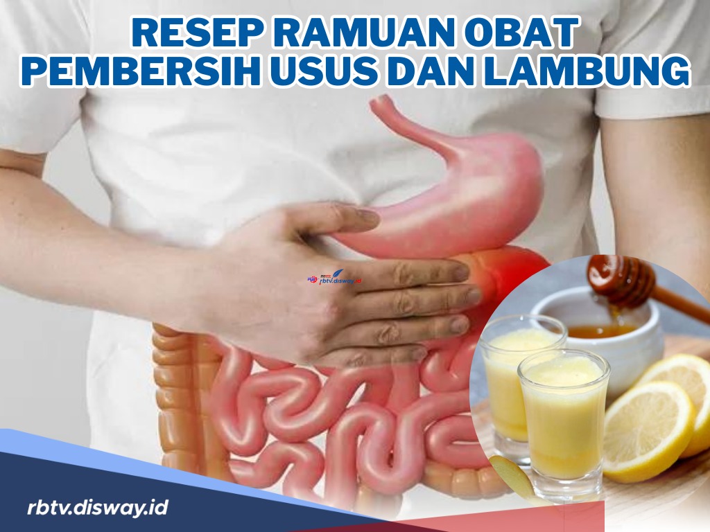 Resep Ramuan Obat Pembersih Usus dan Lambung dari Bahan Alami, Bisa Bikin Sendiri di Rumah