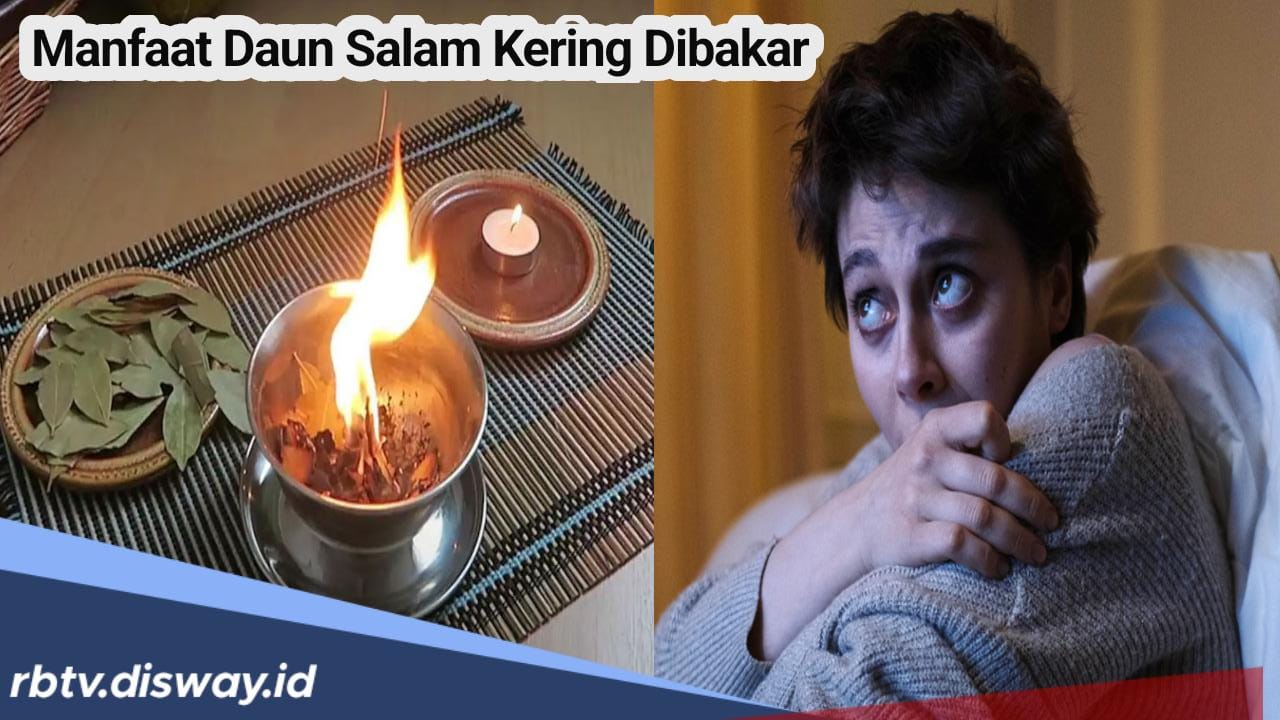 Jarang Diketahui, Ini Manfaat Daun Salam Kering Dibakar, Salah Satunya Ampuh Mengatasi Anxiety