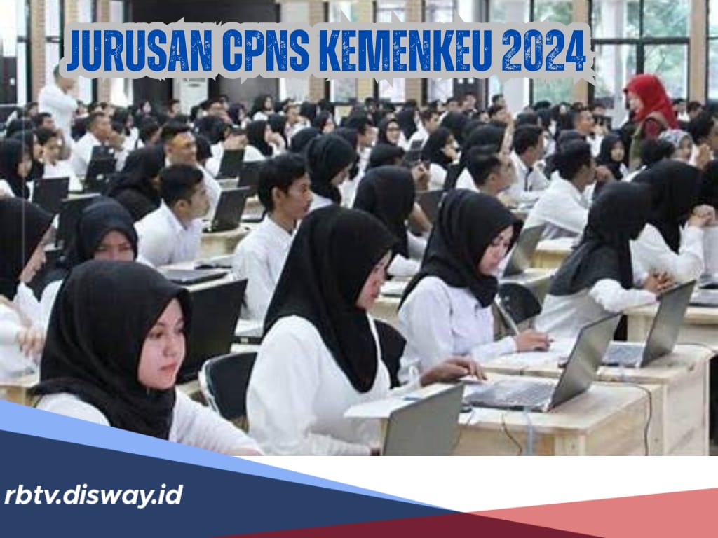 8 Jurusan Ini yang Paling Dibutuhkan Pada seleksi CPNS Kemenkeu 2024, Berikut Daftarnya