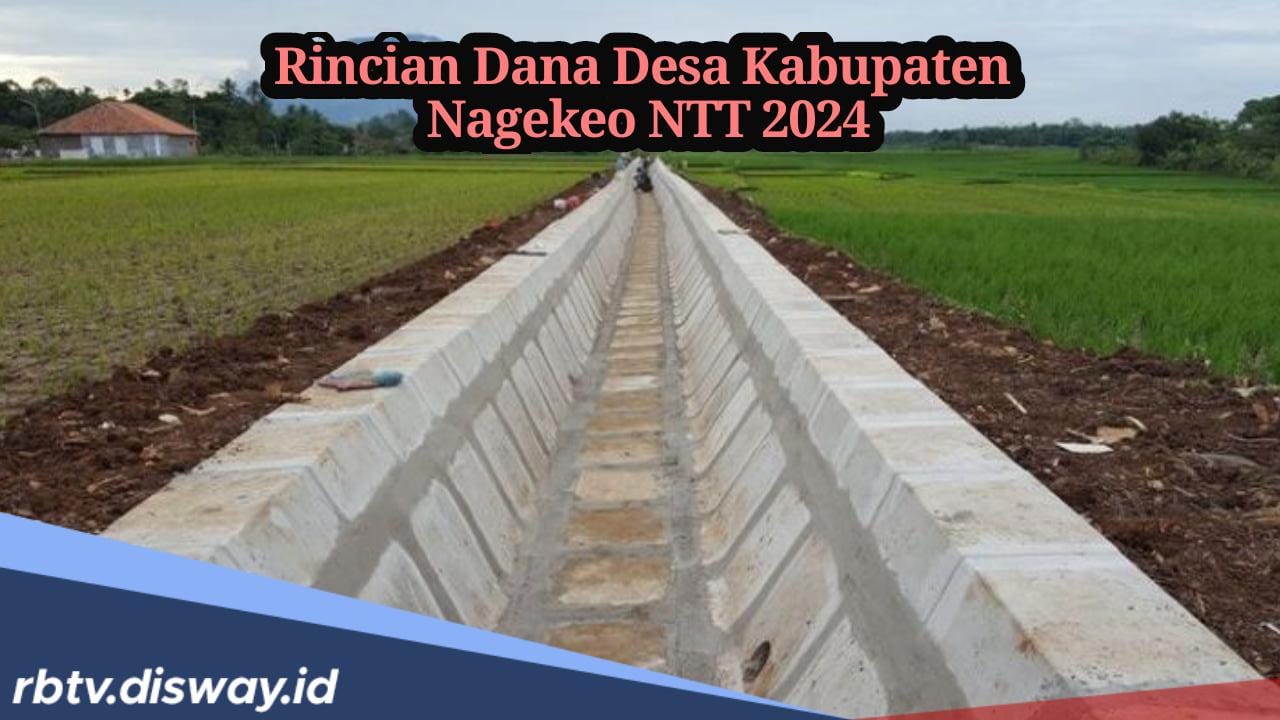 Rincian Dana Desa 2024 dari 97 Desa di Kabupaten Nagekeo NTT, Cek Desa Mana yang Paling Besar Terima Anggaran?
