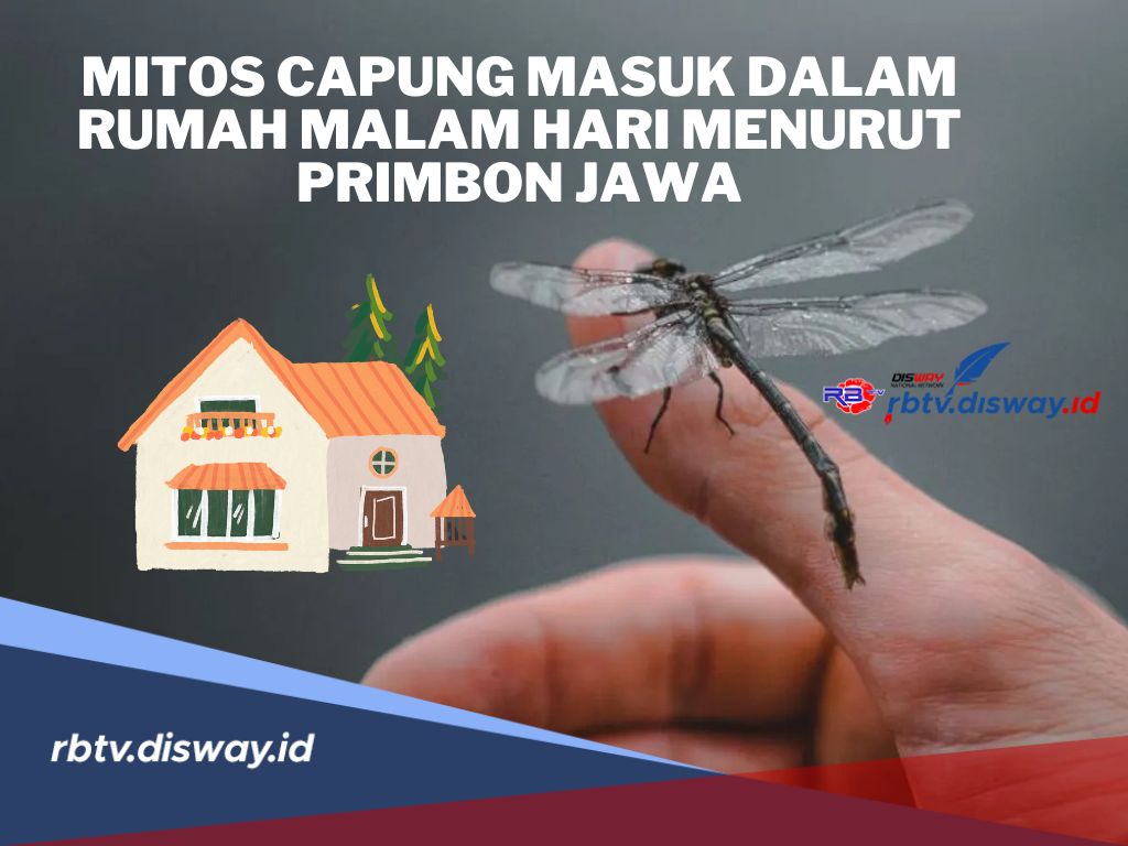 3 Mitos Capung Masuk ke Dalam Rumah Malam Hari Menurut Primbon Jawa