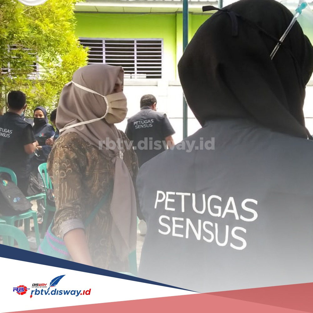 Setiap Bulan Mitra Statistik BPS 2024 Ikut Sensus atau Survei? Begini Aturan yang Berlaku, Termasuk Gaji