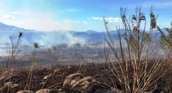 Diterjang El Nino, Kota-kota Ini Paling Parah Dilanda Kemarau Panjang