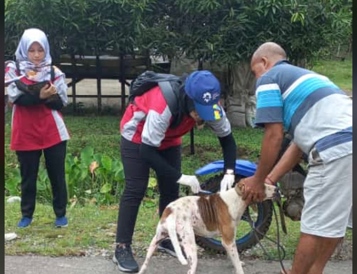 Waspada, Januari Sampai Agustus 2023 Terdata 54 Kasus Rabies