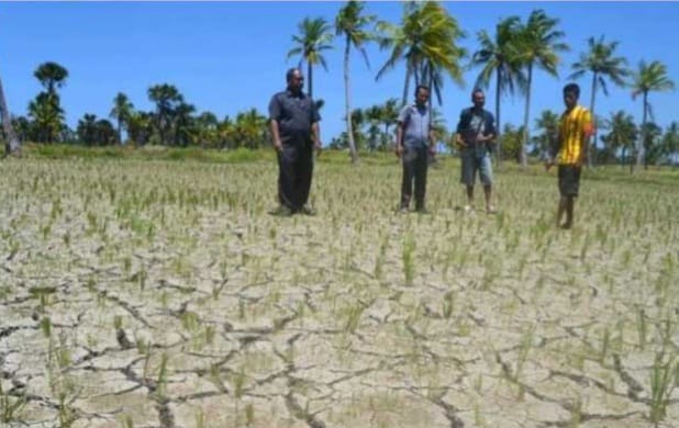Ancaman El Nino Jangan Dianggap Remeh, Pemerintah Indonesia Terus Bersiap