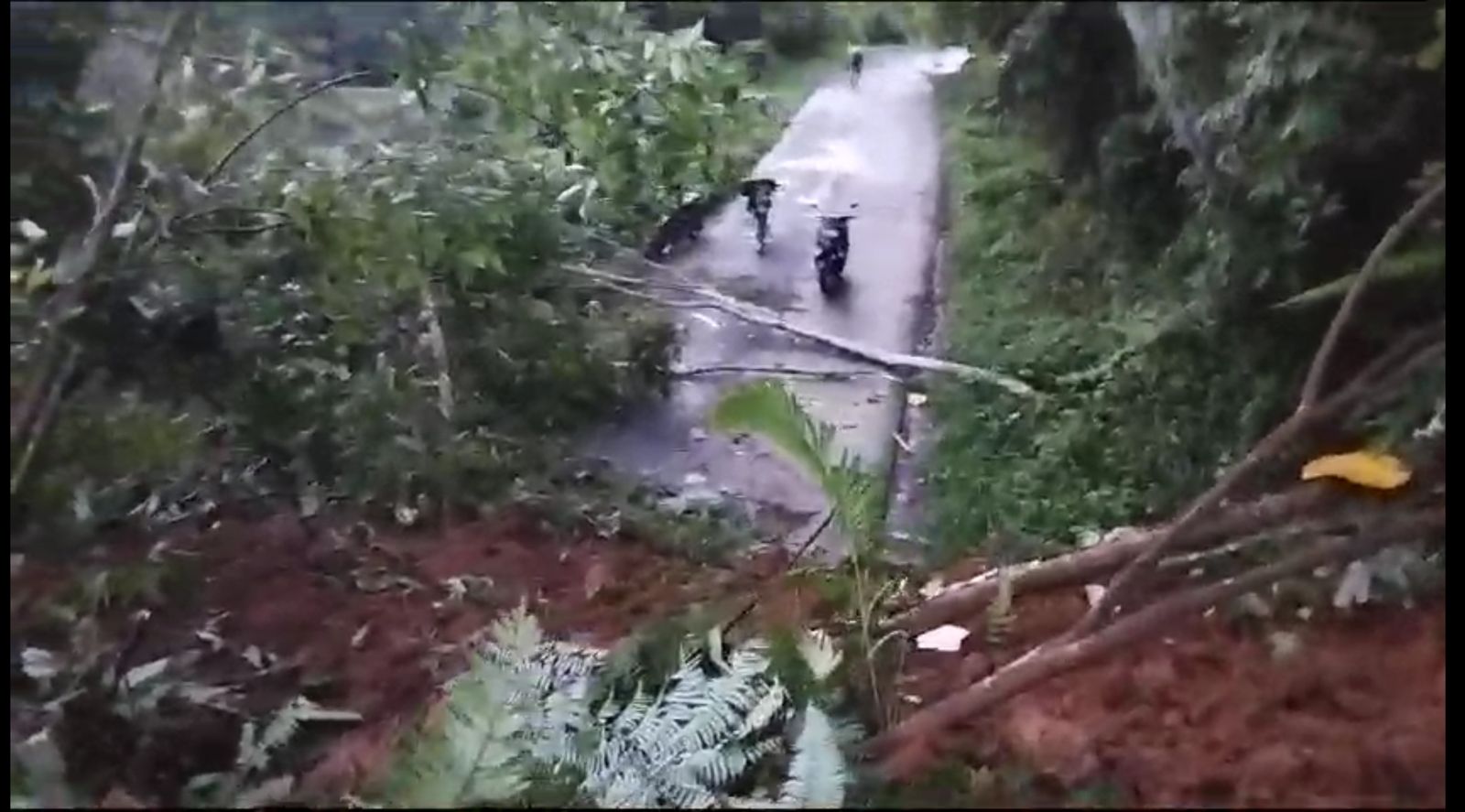 Longsor di Rimbo Pengadang Lebong, Kendaraan Tidak Bisa Melintas