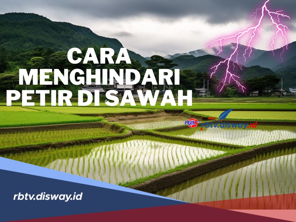 Pantau Cuaca Sebelum Berangkat ke Sawah! Begini Cara Menghindari Petir di Sawah