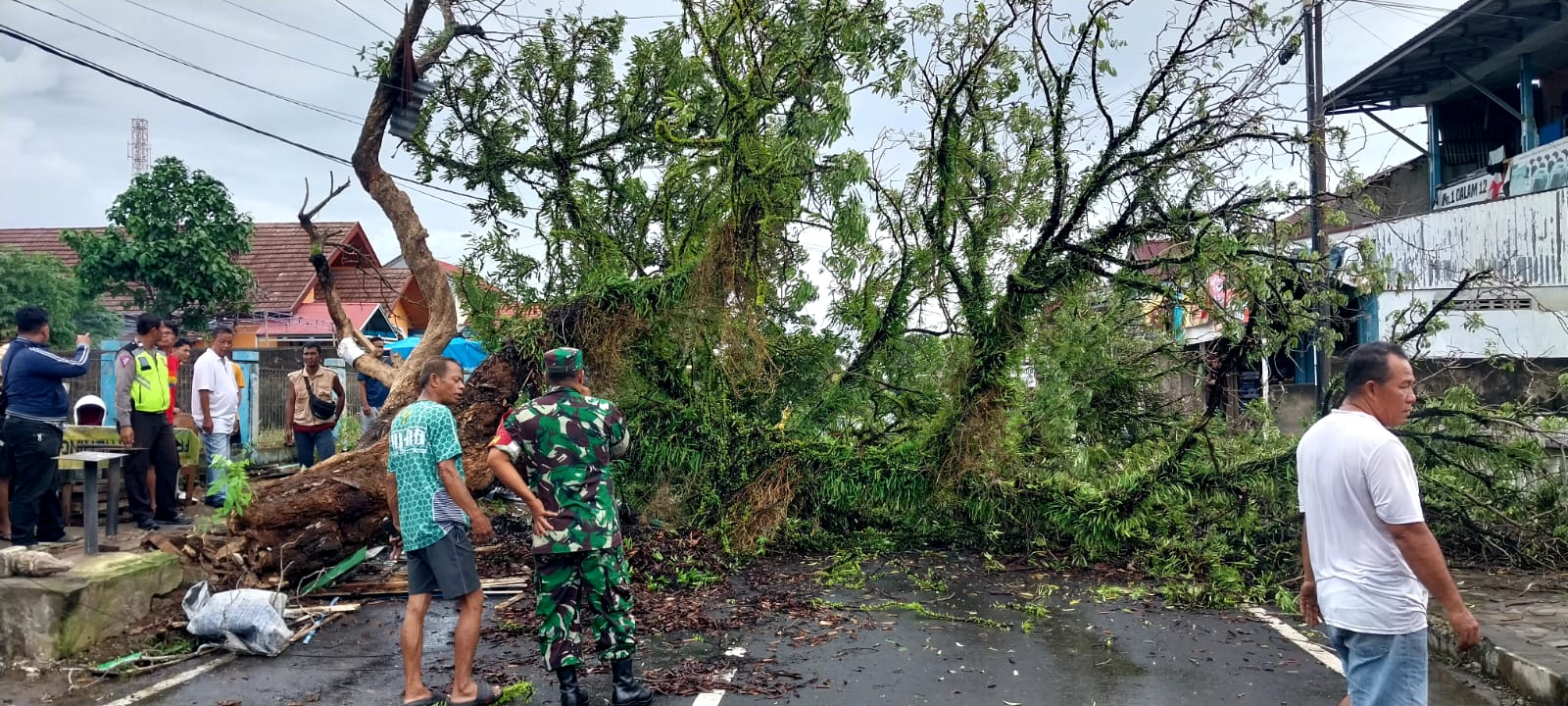 Suara Dentuman Keras Gegerkan Warga dan Sempat Dikiran Bom Ternyata Berasal Dari Pohon 'Kelengkeng Lanang'.