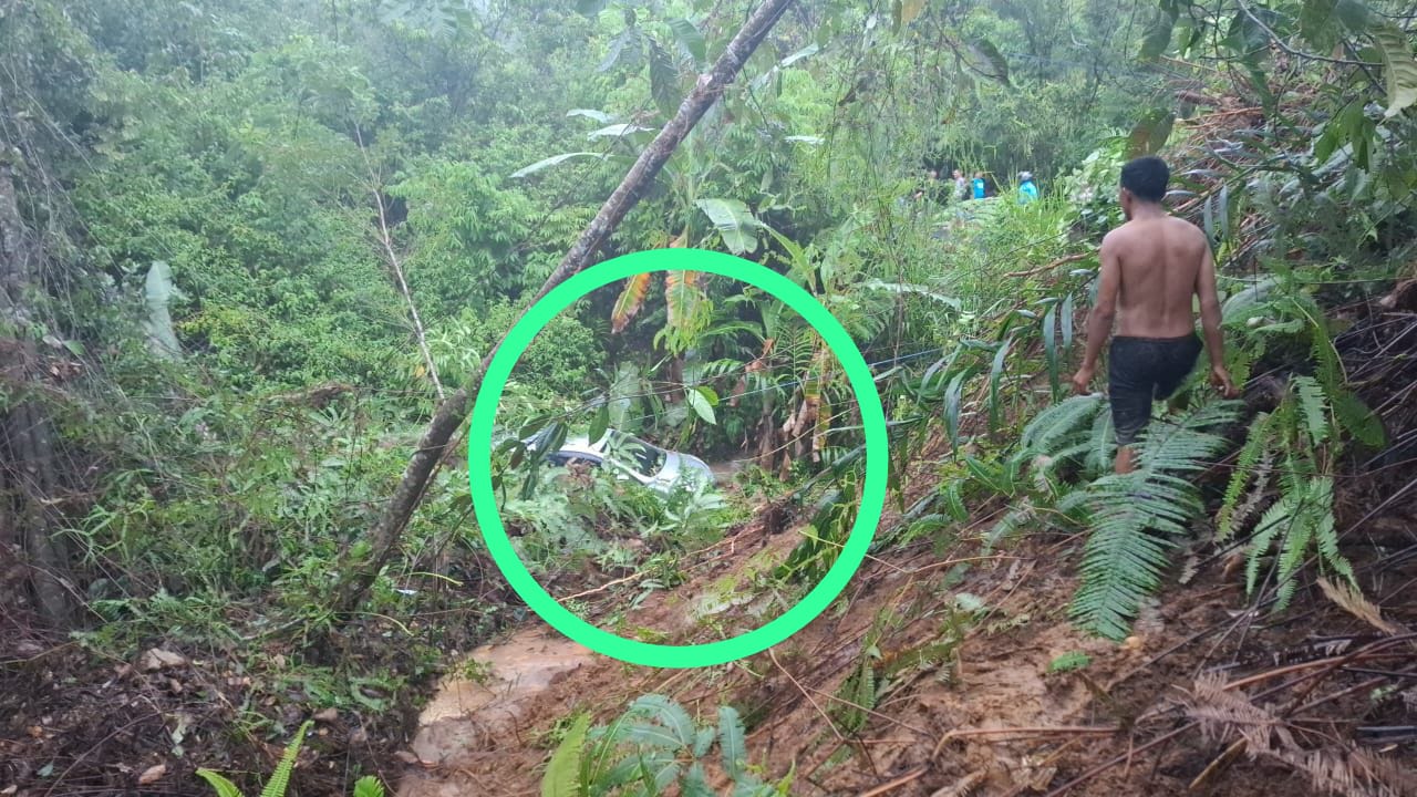 Pohon Tumbang dan Longsor Dekat Kantor Camat Rimbo Pengadang, 1 Unit Mobil Ikut Terperosok