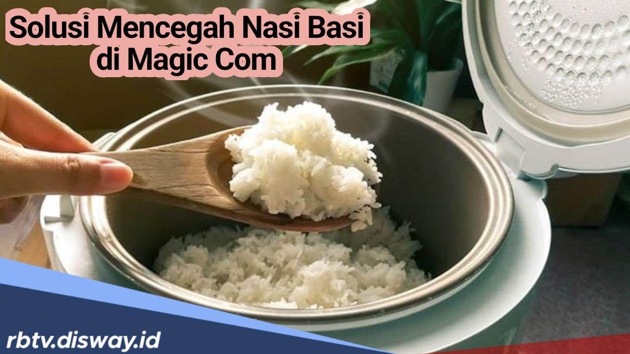 Nasi Kamu Sering Cepat Basi di Magic Com? Ini Solusi yang Tepat untuk Mencegahnya 