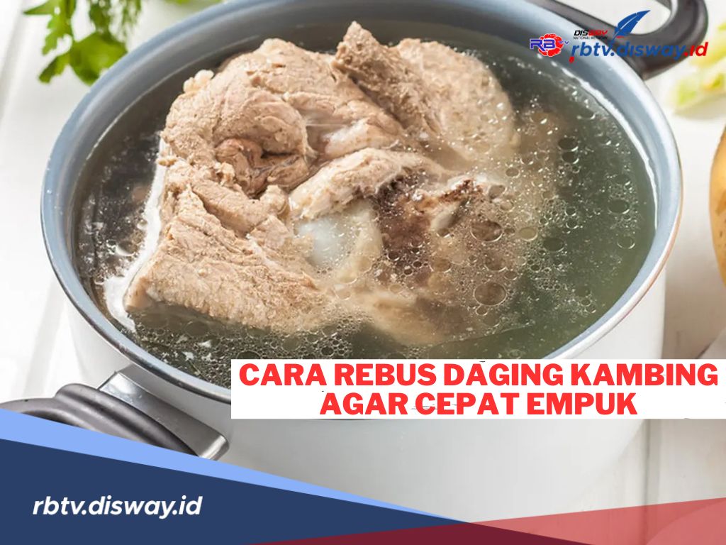 Jangan Asal Rebus, Ini 6 Cara Merebus Daging Kambing agar Cepat Empuk, Buktikan Sendiri