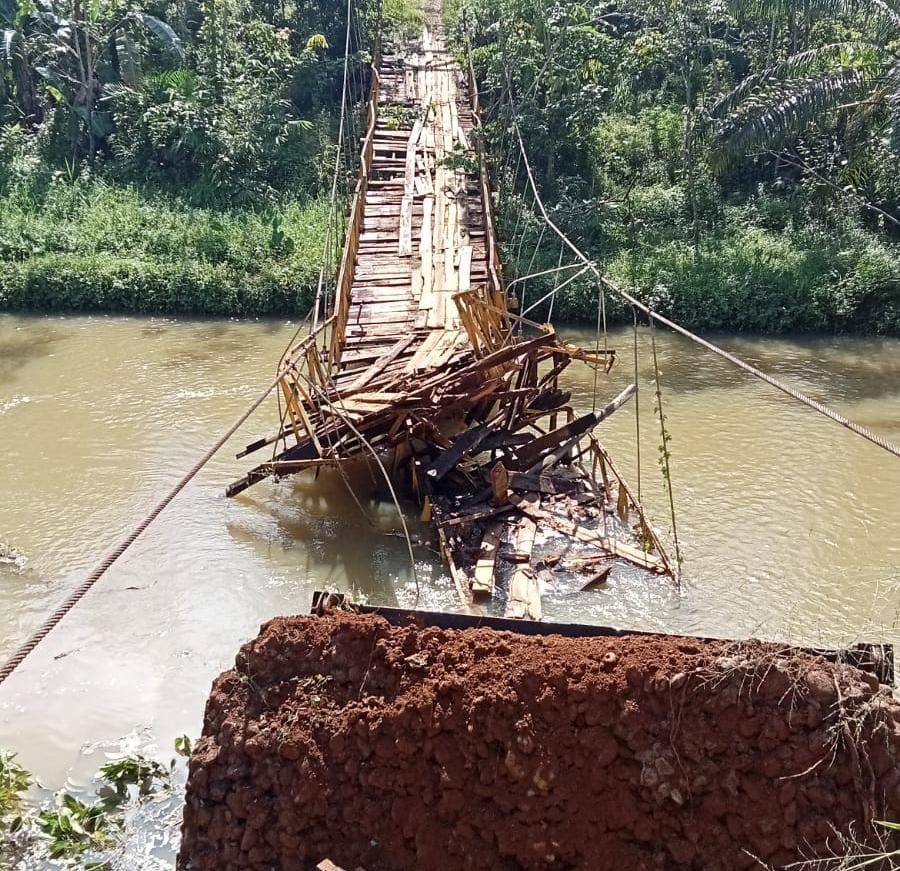 Jembatan Gantung Putus, Akses Dua Desa Terganggu, Aktivitas Perkebunan Lumpuh