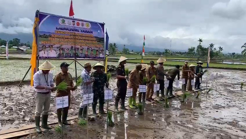 Bertambah Lagi, Puluhan Hektare Lahan di Talang Ulu Ikut MT II