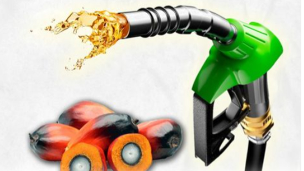 Adakah Mobil Diesel yang Bisa Minum Biosolar? Ini Efek Sampingnya