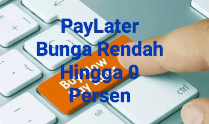 Bunga Rendah hingga Nol Persen, Ini 5 Rekomendasi Aplikasi Paylater Terbaik 2023