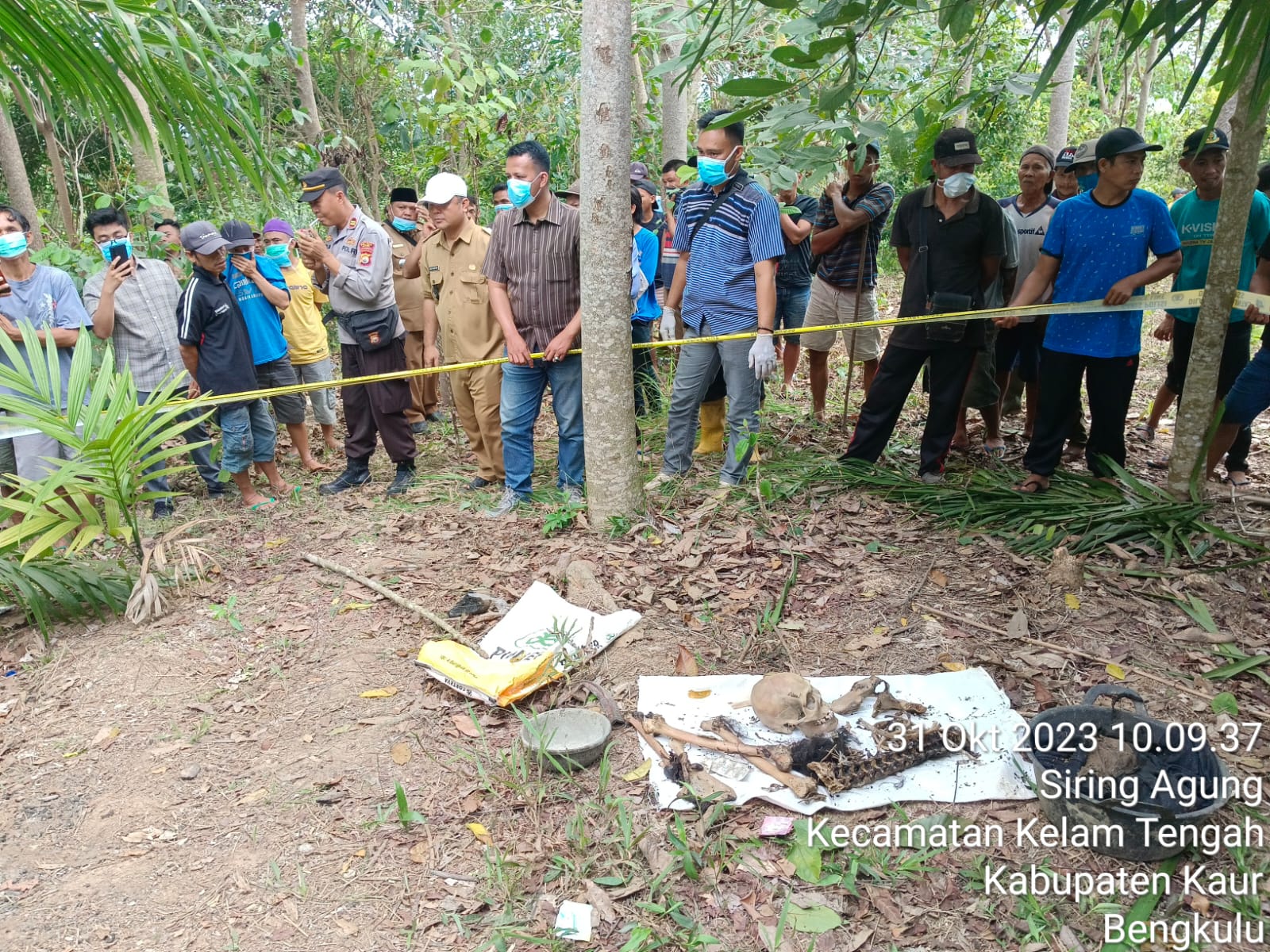 Heboh, Warga Kaur Temukan Tengkorak Manusia di Kebun Sawit