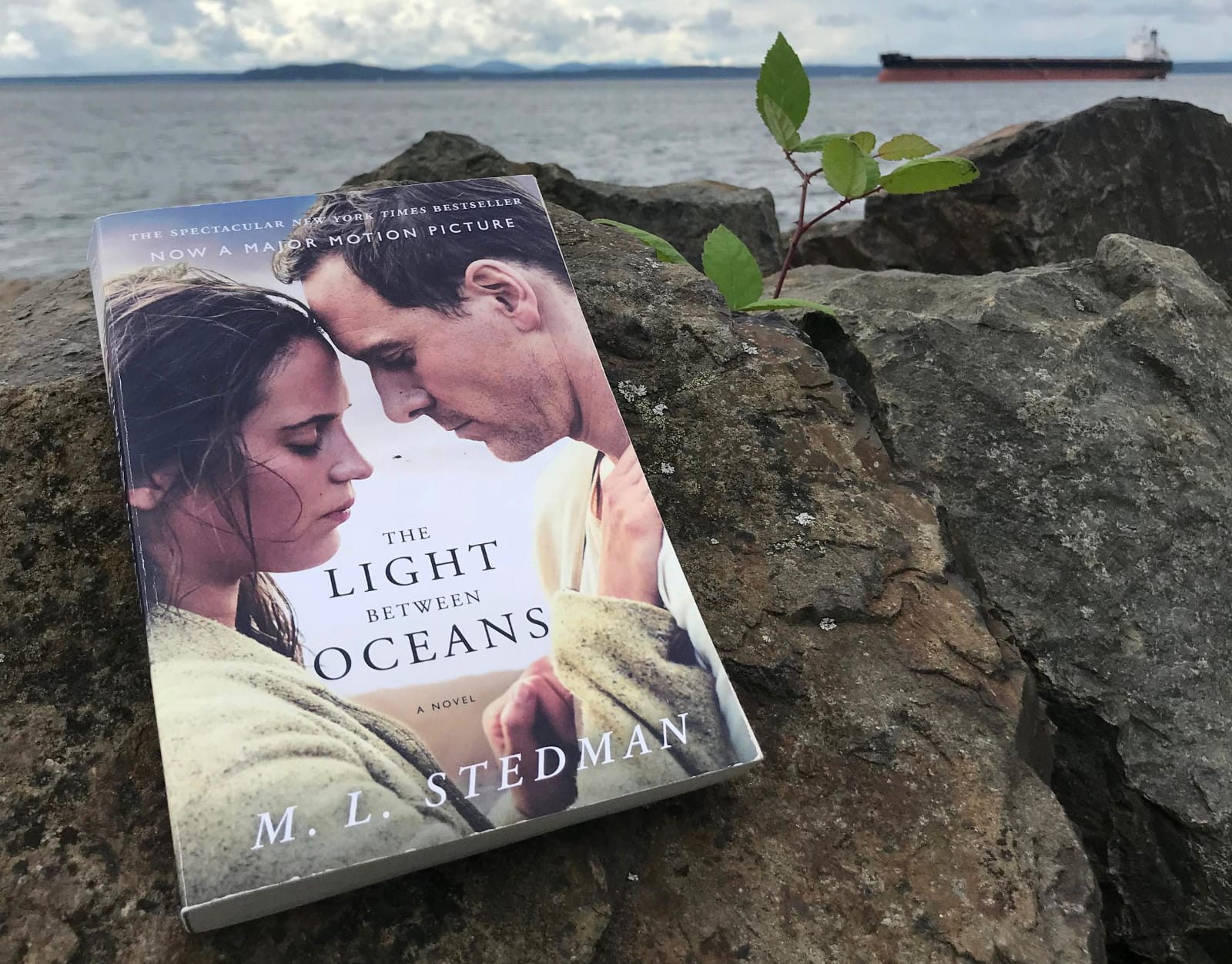 Jadwal Rilis Film The Light Between Oceans di Bioskop Trans TV, Kisah Haru Pasangan Penjaga Mercusuar