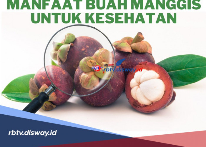 Kaya Akan Nutrisi! ini 5 Manfaat Buah Manggis untuk Kesehatan