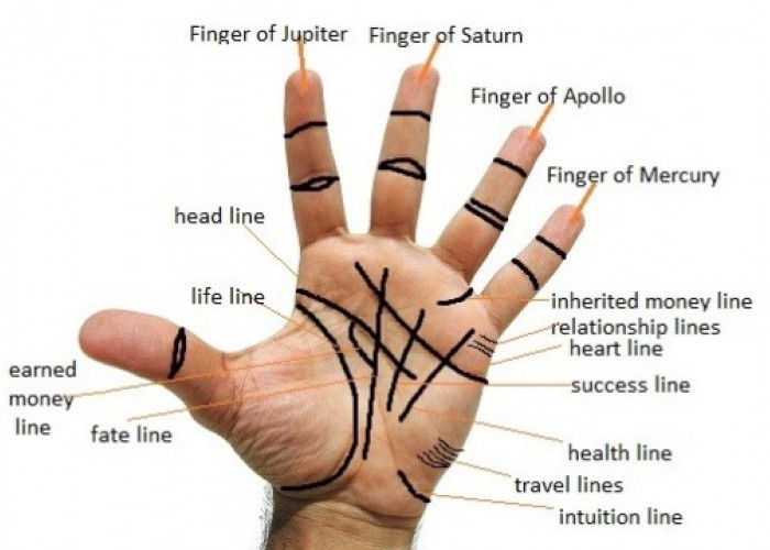 Begini Cara Membaca Garis Tangan, Mulai Urusan Jodoh hingga Keuangan Menurut Primbon Jawa