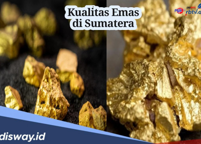 Miliki Cadangan Harta Karun Emas Mencapai 168,6 Juta Ton, Ternyata Ini Kualitas Emas Sumatera
