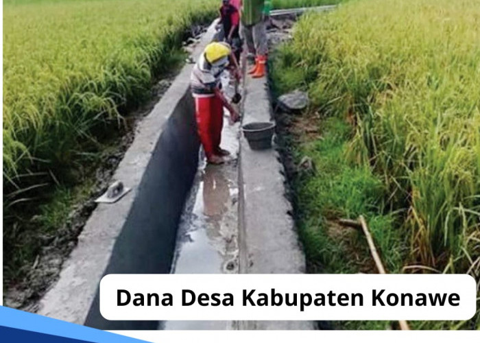 Kembali Disalurkan, Cek Rincian Dana Desa Kabupaten Konawe 2024, Ada yang Terima Alokasi Rp 1 Miliar