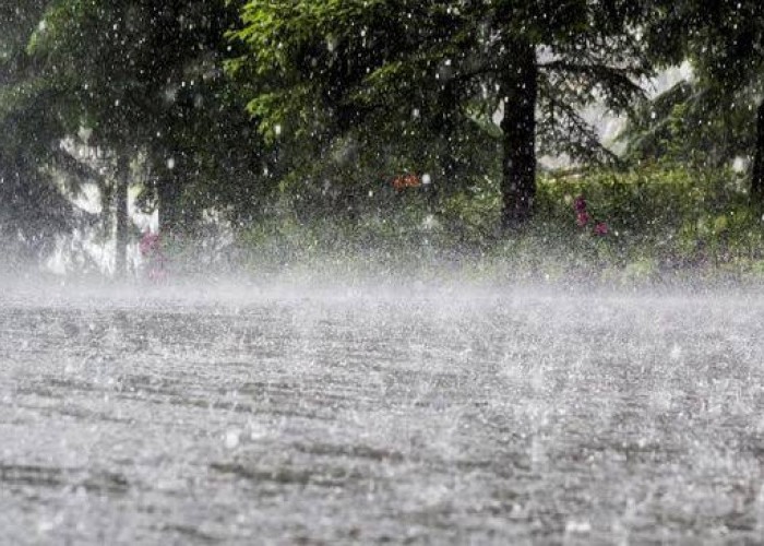 Cuaca Hujan dengan Intensitas Tinggi, BMKG Prediksi Beberapa Daerah yang Berpotensi Banjir di Bulan Agustus