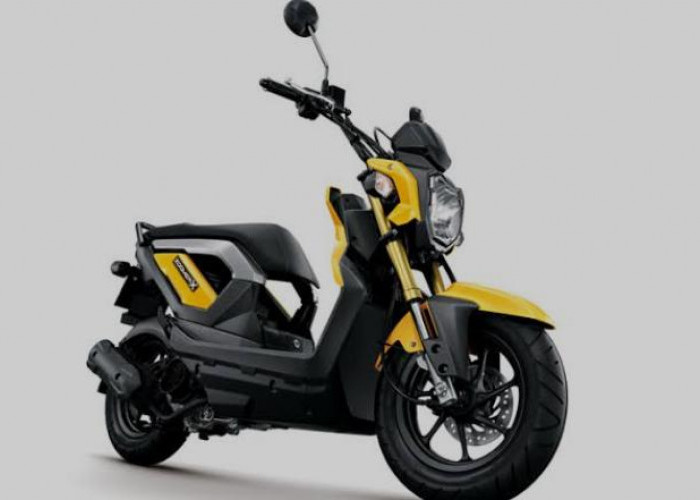 Impor dari Thailand, Honda Zoomer X Sistem Transmisi Matic CVT, Harganya Kok Bisa Fantastis?