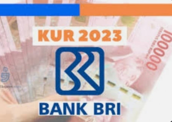 Perhatikan, Syarat Terbaru Ajukan KUR BRI 2023, Lengkap di Sini