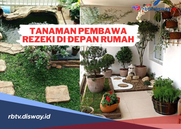 Segera Tanam! Ini 4 Tanaman Pembawa Rezeki di Depan Rumah Menurut Feng Shui