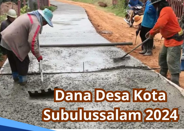 Rincian Dana Desa Kota Subulussalam 2024, Ini Daftar 10 Desa yang Dapat Kucuran Dana Rp 1 M