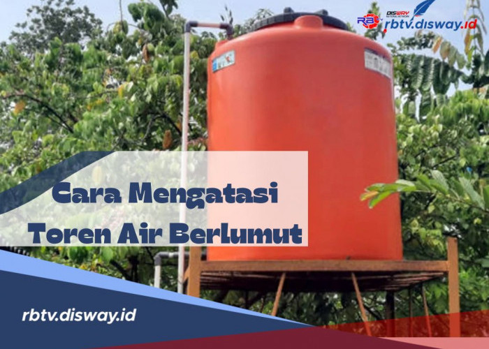 Cara Ampuh Bersihkan Toren Air Berlumut Menggunakan Bahan Dapur