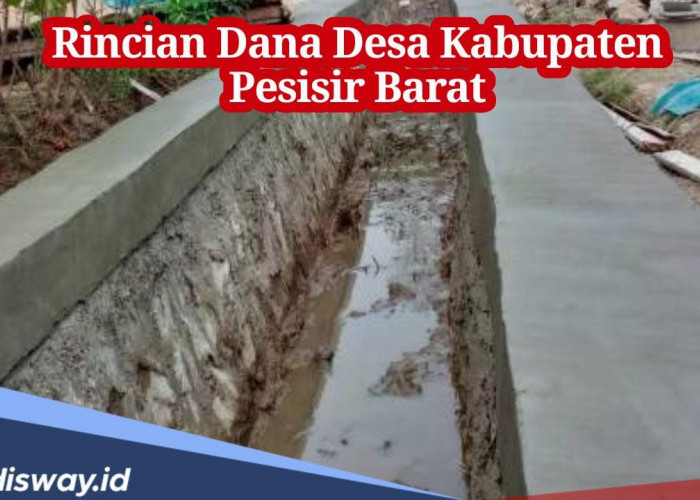 Lengkap, Berikut Rincian Dana Desa Kabupaten Pesisir Barat 2024 di 116 Desa, Silakan Cek