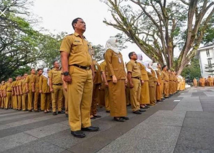 Tahun Depan Gaji PNS Diganti Single Salary, 6 Tunjangan akan Dihapus, Ini Daftarnya