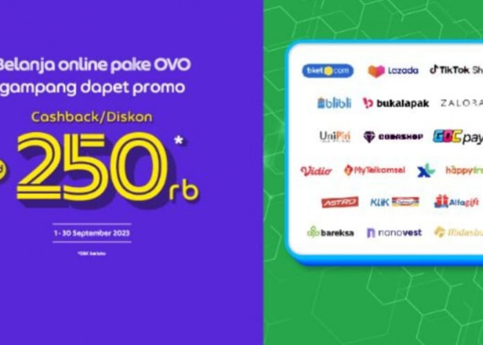 Asyik, Checkout di Lazada Pakai OVO Banyak Promo, Langsung Dapat Diskon 10 Persen