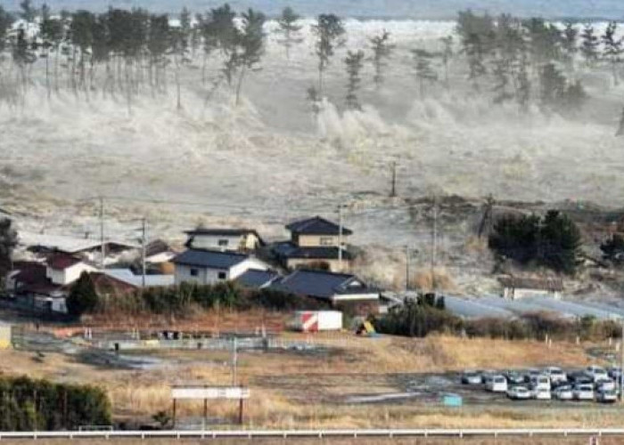 Tsunami Aceh dan Krakatau Menghebohkan Dunia, Berikut 10 Tsunami Terdahsyat yang Pernah Terjadi 