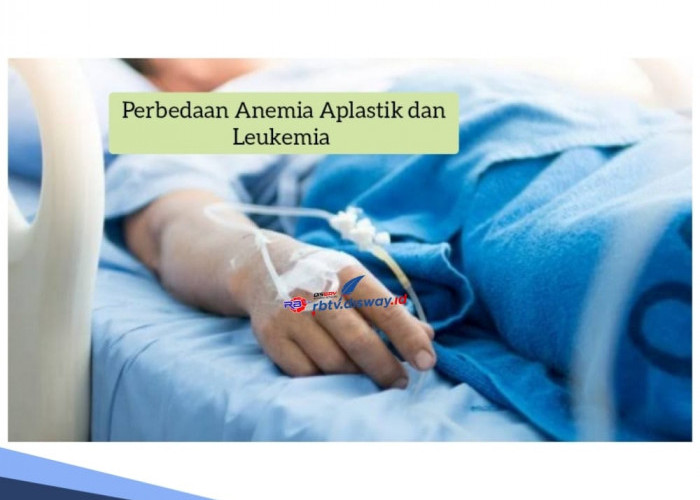 Punya Gejala yang Hampir Mirip, Ternyata Ini Perbedaan Anemia Aplastik dan Leukimia yang Wajib Diketahui