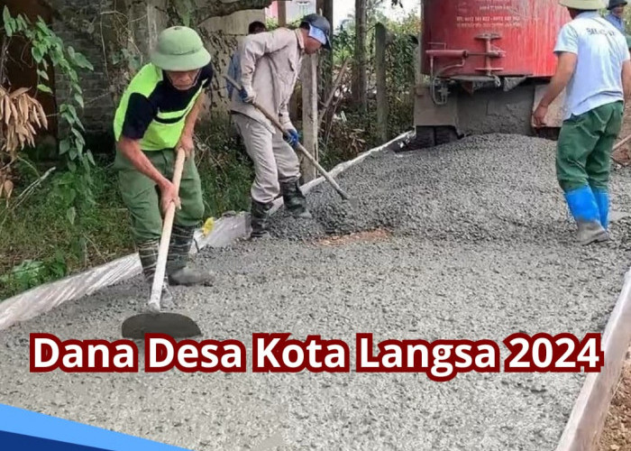 Rincian Dana Desa Kota Langsa 2024, Begini Detail Pembagian Anggaran untuk 66 Desa, Cek Desamu!