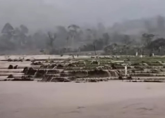 Banjir Rendam Tiga Hektare Sawah dan Putuskan Tiga Gorong-gorong di Lubuk Resam 