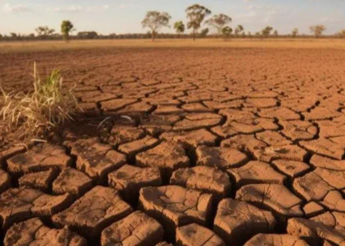 Warga Harus Tahu, Ini 10 Dampak El Nino Bagi Kesehatan, Nomor 9 Menakutkan