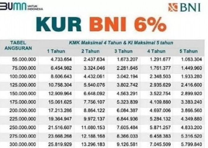 Tabel Cicilan KUR BNI Pinjaman Rp 30 Juta, Proses Pencairan Bisa Tanpa Jaminan, Simak Caranya