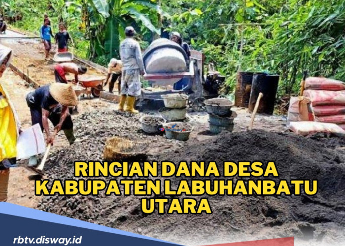 Cek Rincian Dana Desa Kabupaten Labuhanbatu Utara, Ini Desa dengan Alokasi Dana Terbesar dan Terkecil