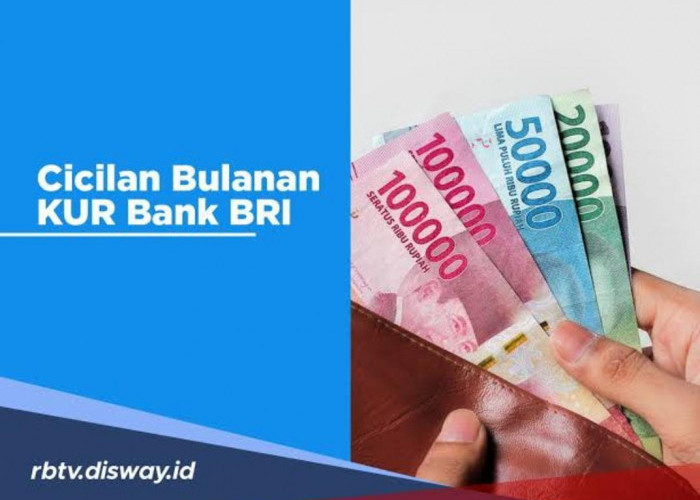 Pinjaman Rp 50 Juta KUR BRI Dapat Angsuran Ringan, Ajukan Sebelum Tutup Buku Akhir Tahun 2023