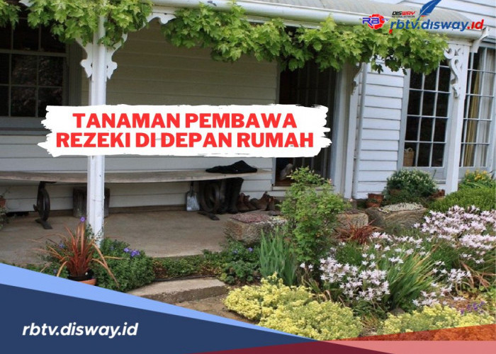 5 Tanaman Pembawa Rezeki di Depan Rumah Menurut Primbon Jawa, Cek Apakah Ada di Rumahmu