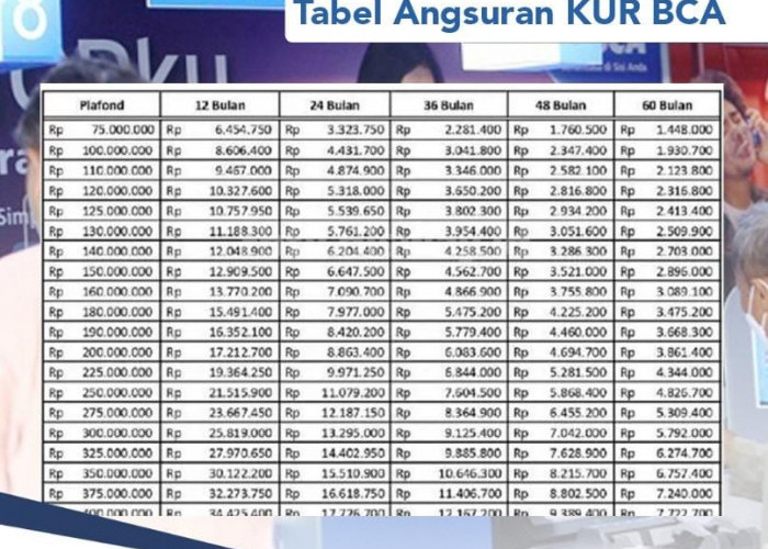 Simulasi Cicilan KUR BCA 2024 Plafon Rp 50 Juta, Ini Cara Dapat Angsuran Rp 966 Ribu