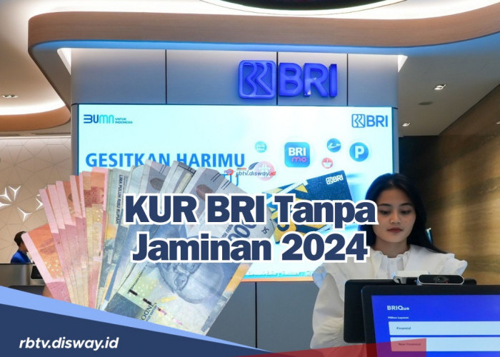 Ajukan Pinjaman KUR BRI 2024 Tanpa Jaminan, Simak Syarat Serta Langkahnya Disini