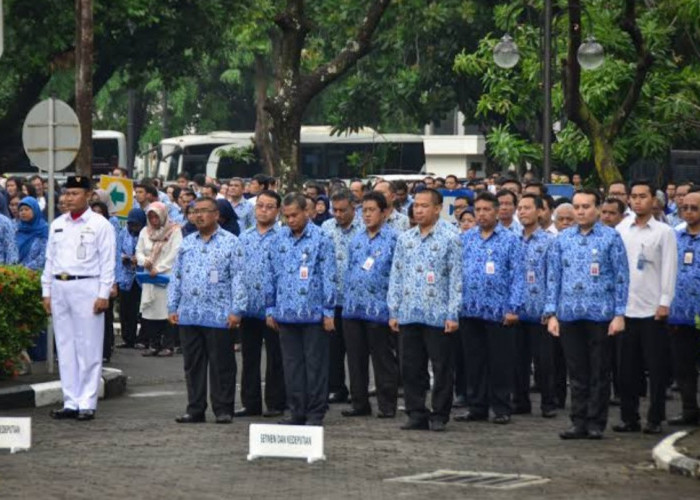 Terbaru, ASN di Daerah 3T akan Terima Insentif Khusus dari Pemerintah, Bisa Cepat Naik Pangkat 