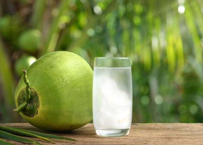  Air Kelapa Bisa untuk Diet Turunkan Berat Badan, Begini Tips Mengonsumsinya